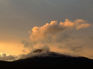 canisp volcanic memories